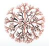 Seaweed logo